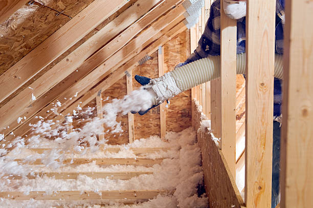 Best Attic Insulation Installation  in Wichita Falls, TX